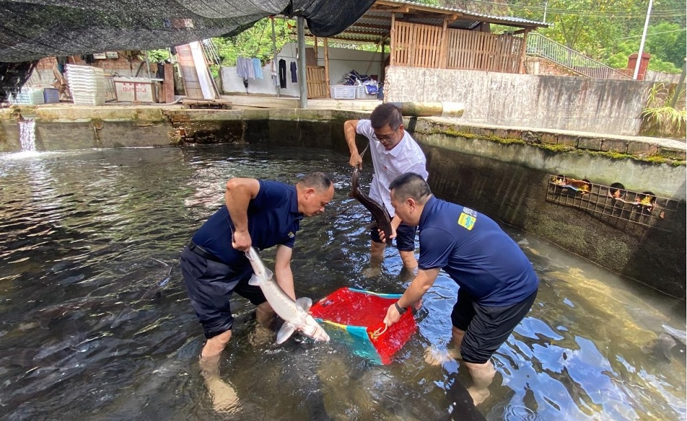 首页| 尊龙(中国集团)官方网站